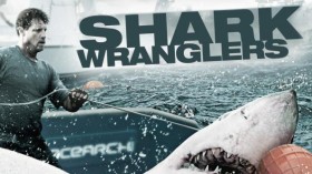 Акульи Пастухи /  Shark Wranglers