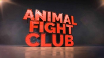 Бойцовский клуб для животных 4