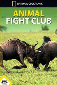 Бойцовский клуб для животных