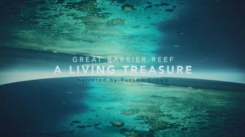 Барьерный риф: Живое сокровище