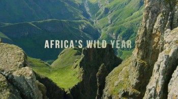 Год в дикой Африке
