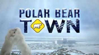 Город полярных медведей