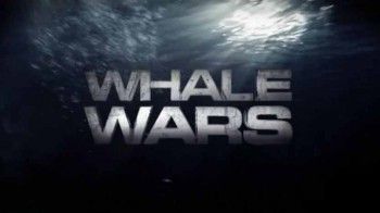 Китовые войны 3 сезон
