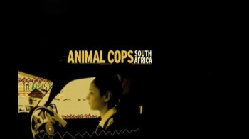 Полиция Южной Африки