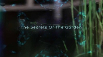 Секреты сада