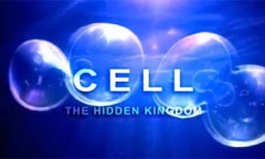 BBC Клетка, Сокрытое Королевство