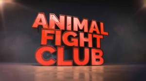 Бойцовский клуб для животных 5