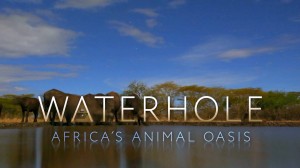 Водопой: Африканский Оазис
