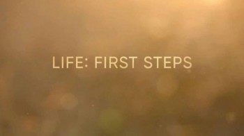 Жизнь: первые шаги