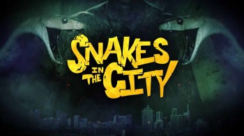 Змеи в городе