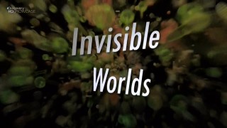 Невидимые миры Воздух Discovery HD
