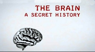BBC Мозг Тайны сознания 3 Взломанный мозг