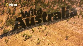 Дикая Австралия 01 Пустыня красных кенгуру (2014) HD