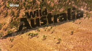 Дикая Австралия 2 Джунгли юрского периода (2014) HD