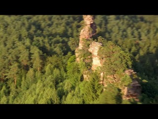 Дикая природа Германии  Леса Пфальца