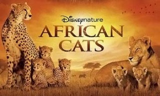 Африканские кошки: Королевство смелых / African Cats (2011)