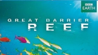 BBC Большой Барьерный Риф 3 На рифе и за его пределами (2012) HD