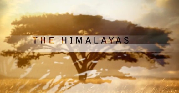 PBS Гималаи / Himalayas (2011) HD
