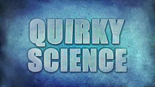 Зигзаги (Причуды) науки / Quirky science 10. Полёт (2013)