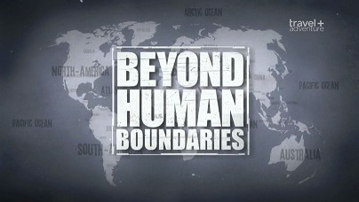 Спасти Армана (За пределами наших возможностей) 2 серия. Салвадор, Бразилия / Beyond Human Boundaries (2013)
