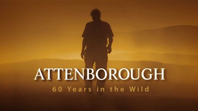 Аттенборо: 60 лет с дикой природой 1 серия. Жизнь в объективе камеры / Attenborough: 60 Years in the Wild (2012)