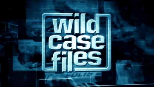 Секретные материалы природы 1 серия. Гигантская паутина в Техасе / Wild Case Files (2011)