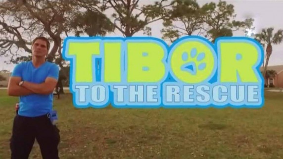 Собачьи истории: Тибор спешит на помощь 7 серия. Репеллент от собак / Dog tales: Tibor to the rescue (2016)