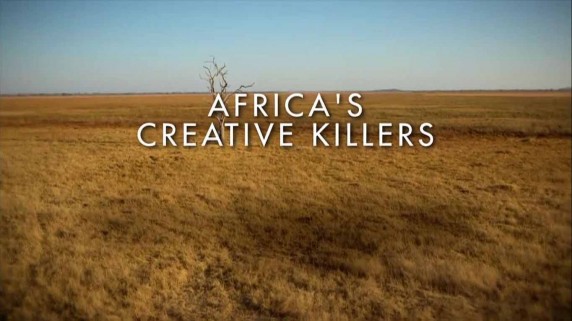 Африка: Убийцы с фантазией 1 серия. Колизей / Africa's Creative Killers (2014)