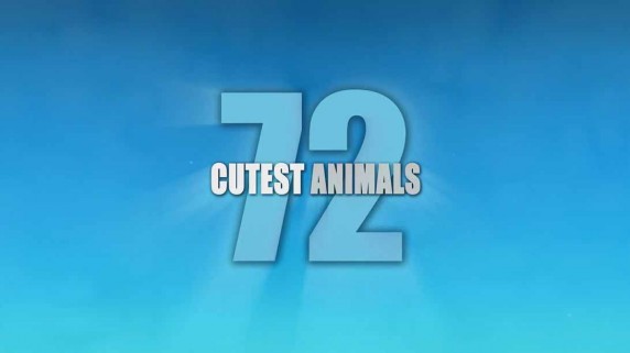 72 самых милых животных 2 серия / 72 Cutest Animals (2016)