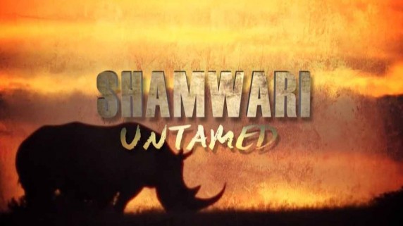 Неукрощенный Шамвари 1 серия / Shamwari Untamed (2017)