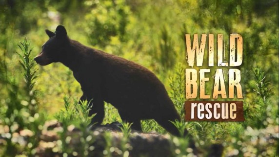 Спасение диких медведей 3 серия / Wild Bear Rescue (2017)