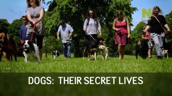 Секретная жизнь собак 1 серия / Dogs: Their Secret Lives (2015)