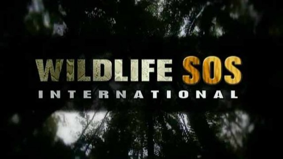 Международный SOS дикой природы 1 серия / International Wildlife SOS (2009)