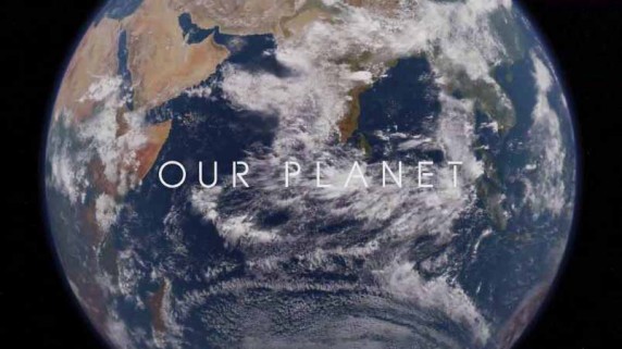 Наша планета 1 серия. Одна планета / Our Planet (2019)