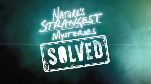 Секреты природы 7 серия. Кит-террорист / Nature's Strangest Mysteries: Solved (2019)