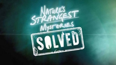 Секреты природы: 14 серия. В объятиях акулы / Nature's Strangest Mysteries: Solved (2019)