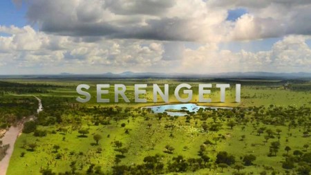 Серенгети 3 серия. Вторжение / Serengeti (2019)