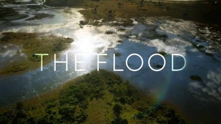 Потоп 1 серия. Первый импульс / The Flood (2019)