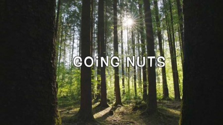 Любители орехов. Беличьи истории / Going Nuts - Tales from the Squirrel World (2019)