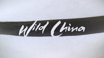 Дикий Китай (все серии) / Wild China (2008)