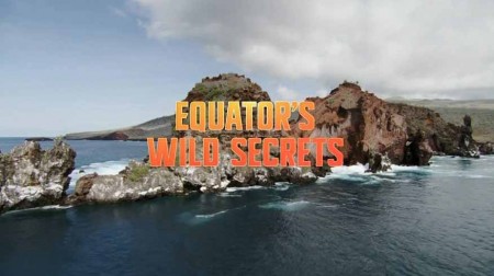 Необычная природа экватора 03 серия. Африка / Equator's Wild Secrets (2019)