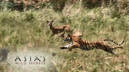 Тайны дикой Азии 3 серия. Горные жители / Asia's Wild Secrets (2020)