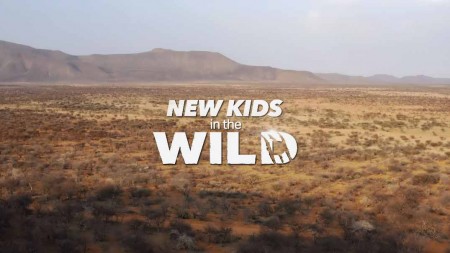 Дикие детишки 1 серия. Гиеновая собака Лайка / New Kids in the Wild (2021)