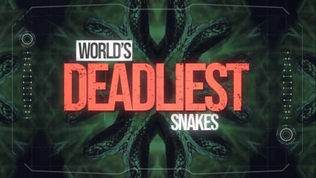 Самые смертоносные змеи в мире 1 серия. Индо-Тихоокеанская область / World's Deadliest Snakes (2020)