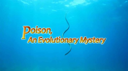 Яд. Достижение эволюции 1 серия. Яд и стратегия выживания / Poison, an evolutionary mystery (2015)