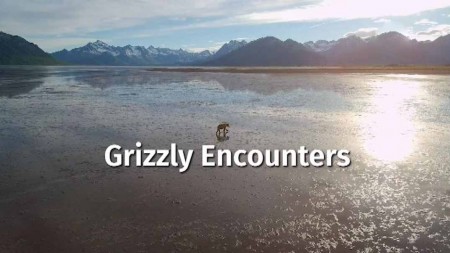 Встречи с гризли 2 серия. Частная жизнь медведей / Grizzly Encounters (2020)
