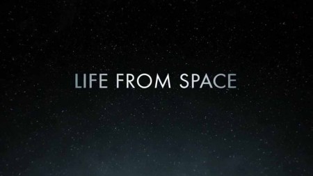 Жизнь, пришедшая из космоса 2 серия. Чёрные дыры / Life from space (2021)