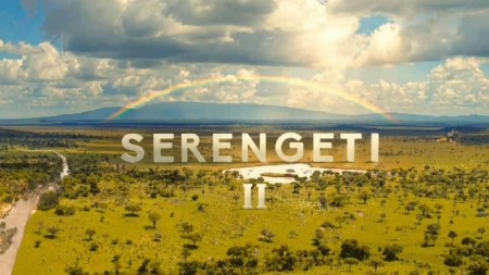 Серенгети 2 сезон 2 серия. Перемены / Serengeti II (2021)