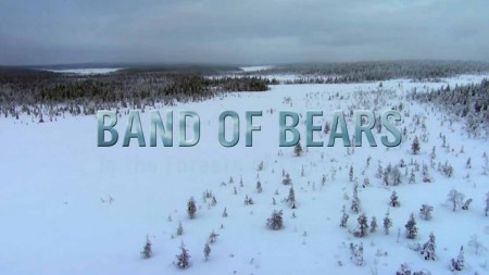 Медведи в скандинавских лесах 1 серия / Die Bärenbande — In Skandinaviens Wäldern (2016)