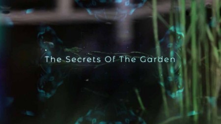 Секреты сада 1 серия / The Secrets of The Garden (2019)
